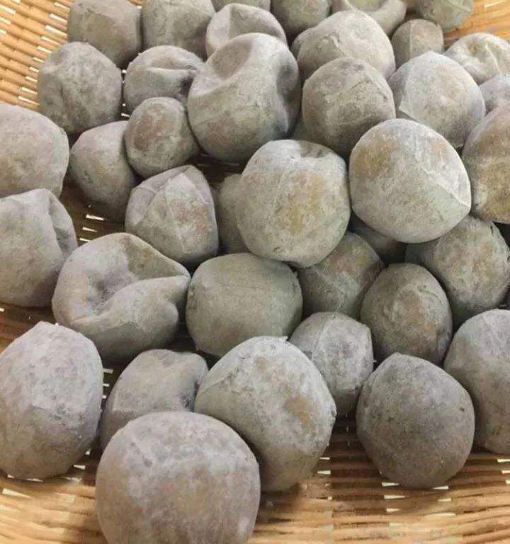 贵州遵义务川仡佬族苗族自治县灰豆腐果