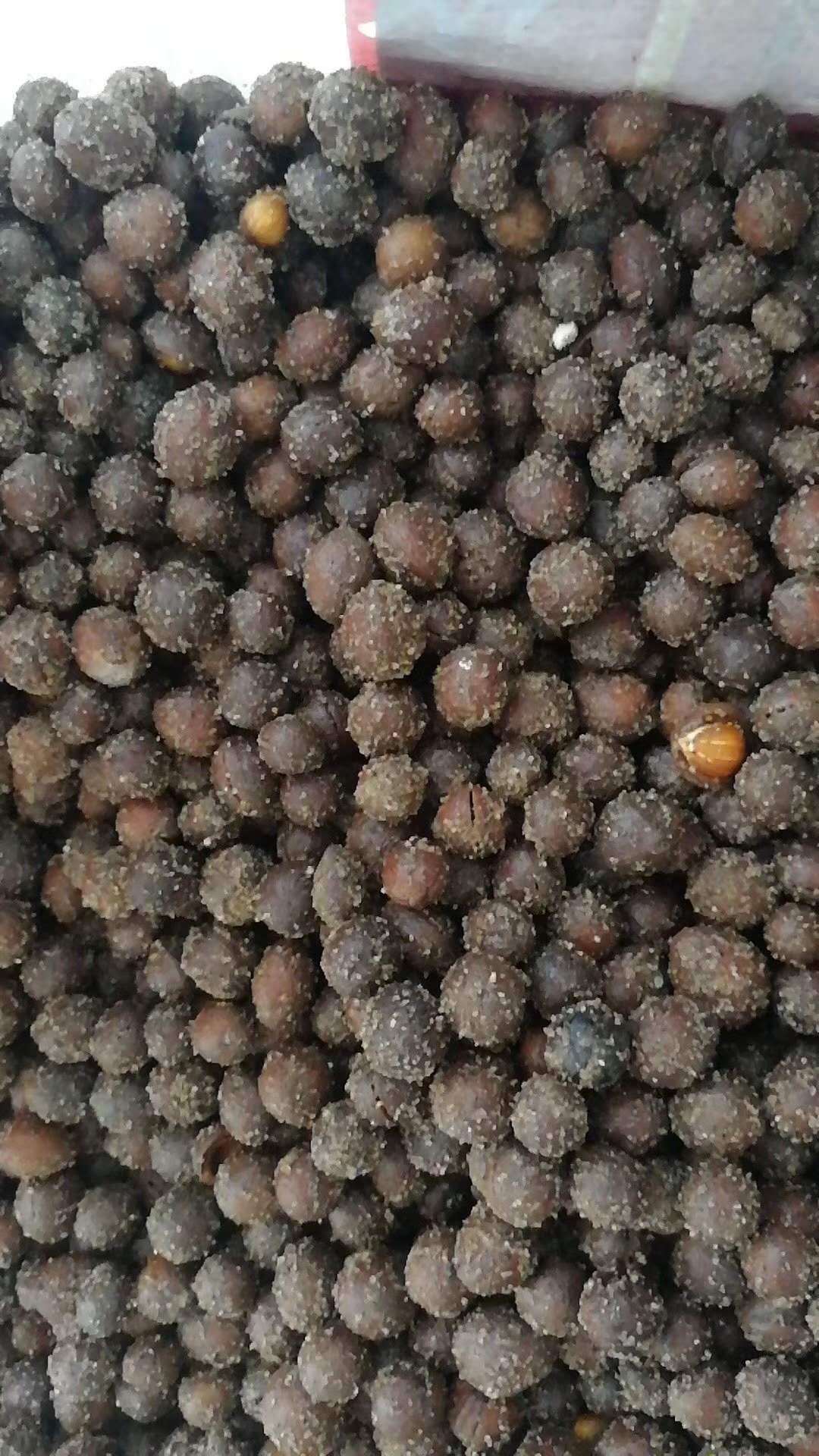 榆叶梅种子.东北货质量杠杠的