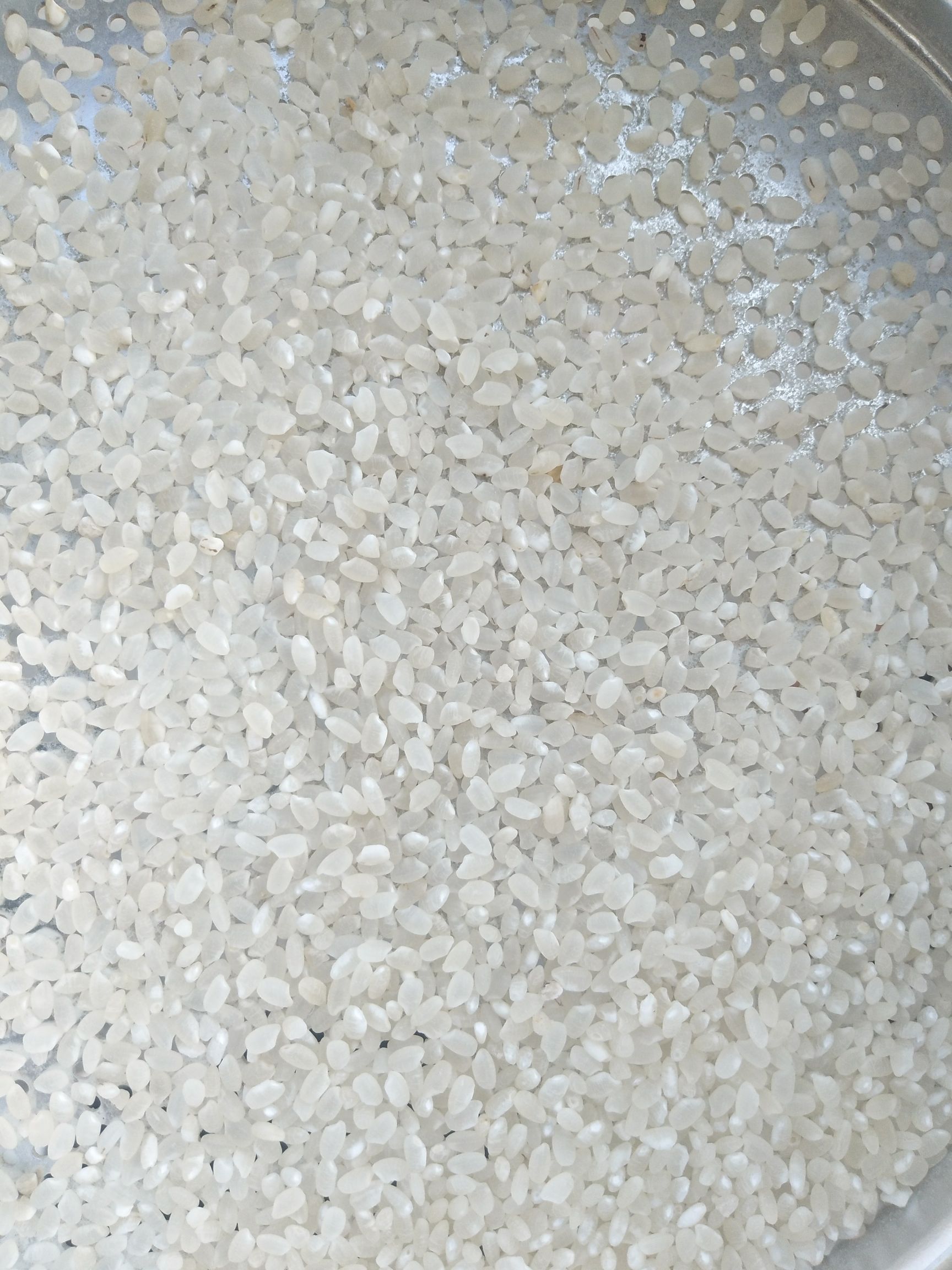 圆粒大米 二等品 中稻 粳米