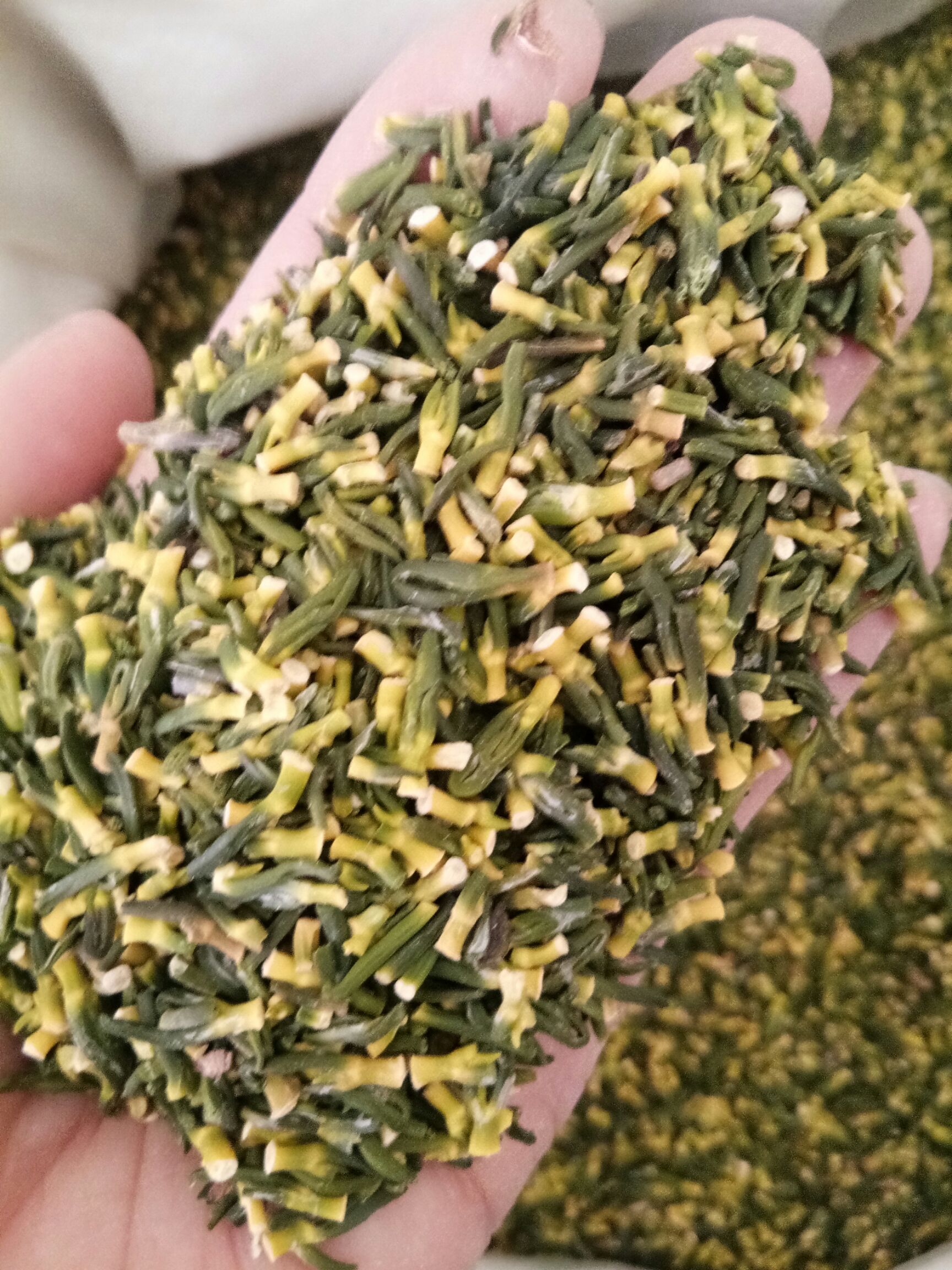 莲心 莲子心 湖南 散装 无硫 泡茶 去火 24小时发货