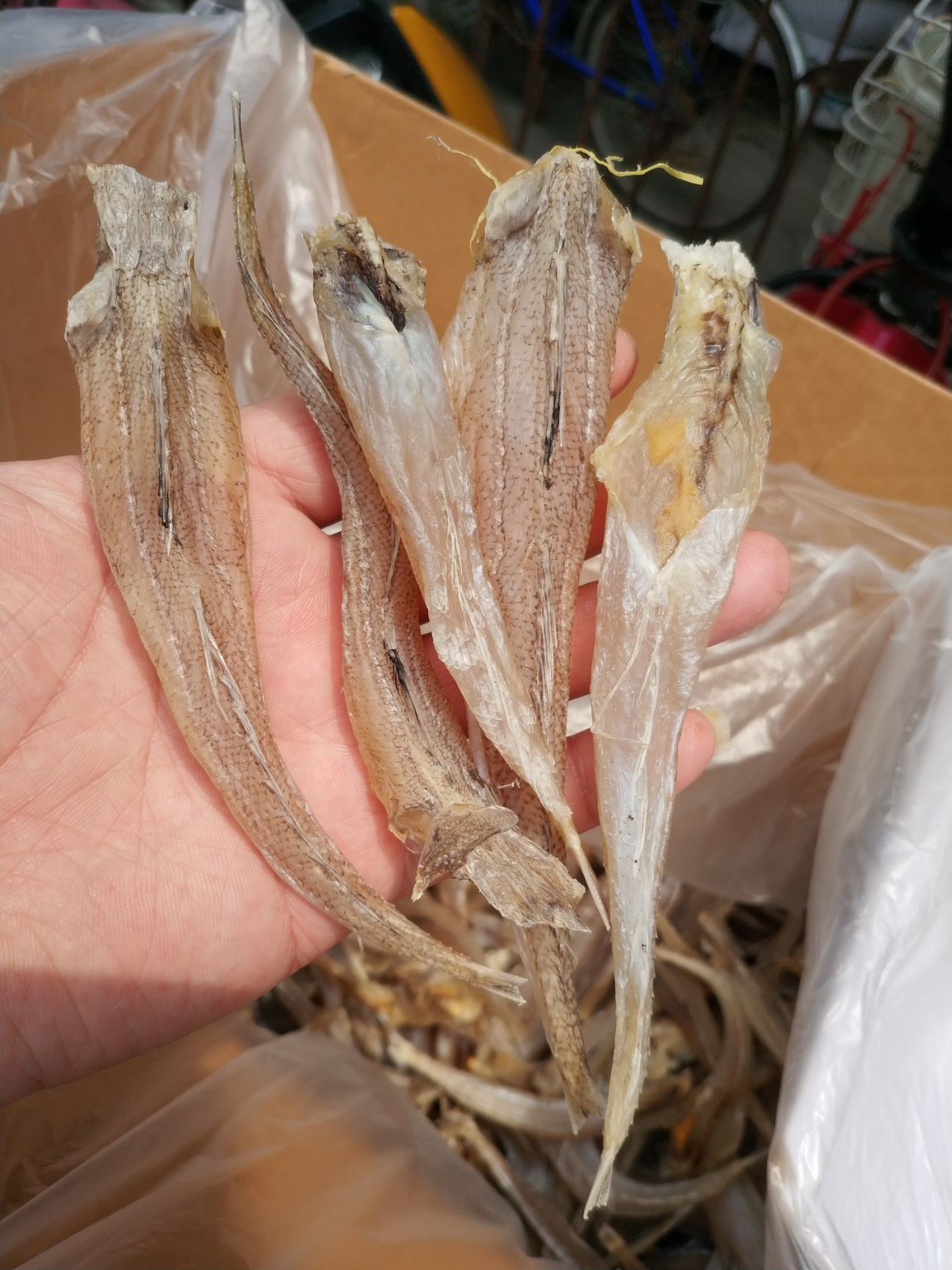 三牙鱼干