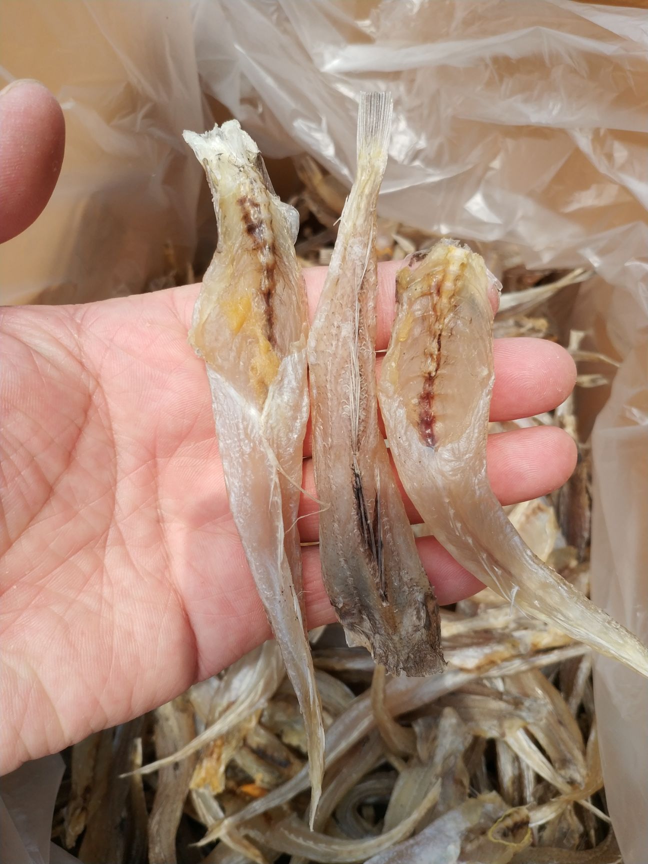 三牙鱼干