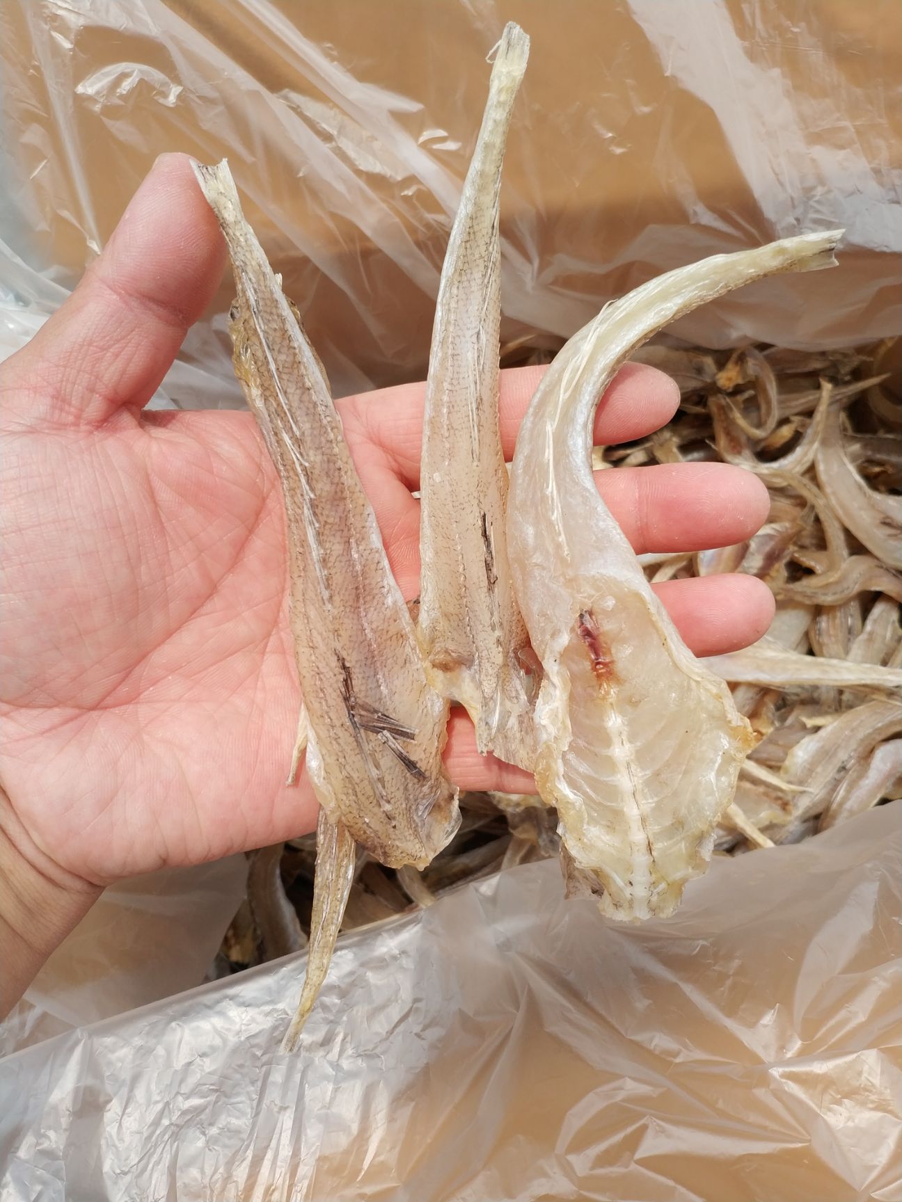 三牙鱼干