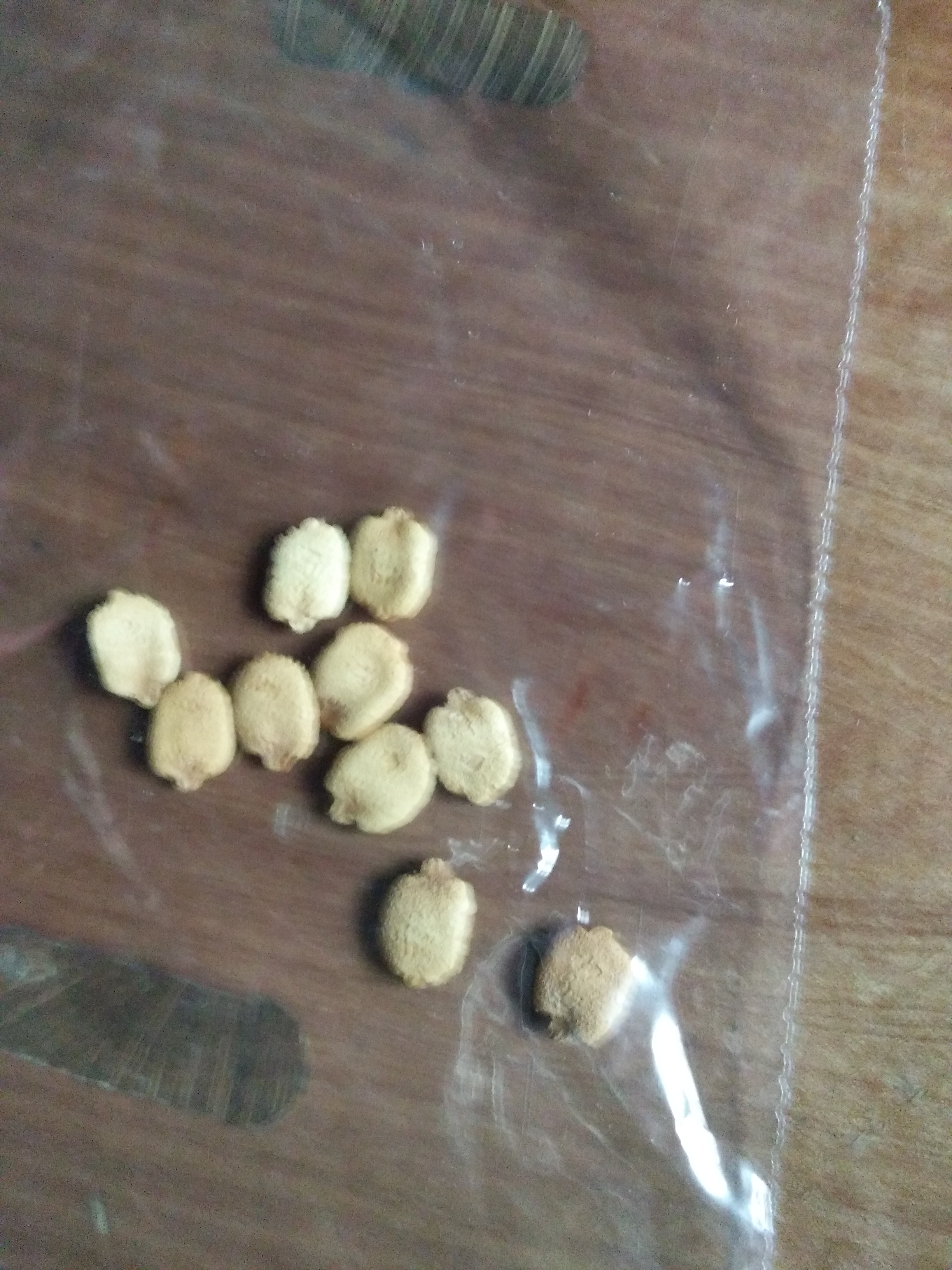 苹果苦瓜种子苹果苦瓜珍稀品种可以生吃的苦瓜