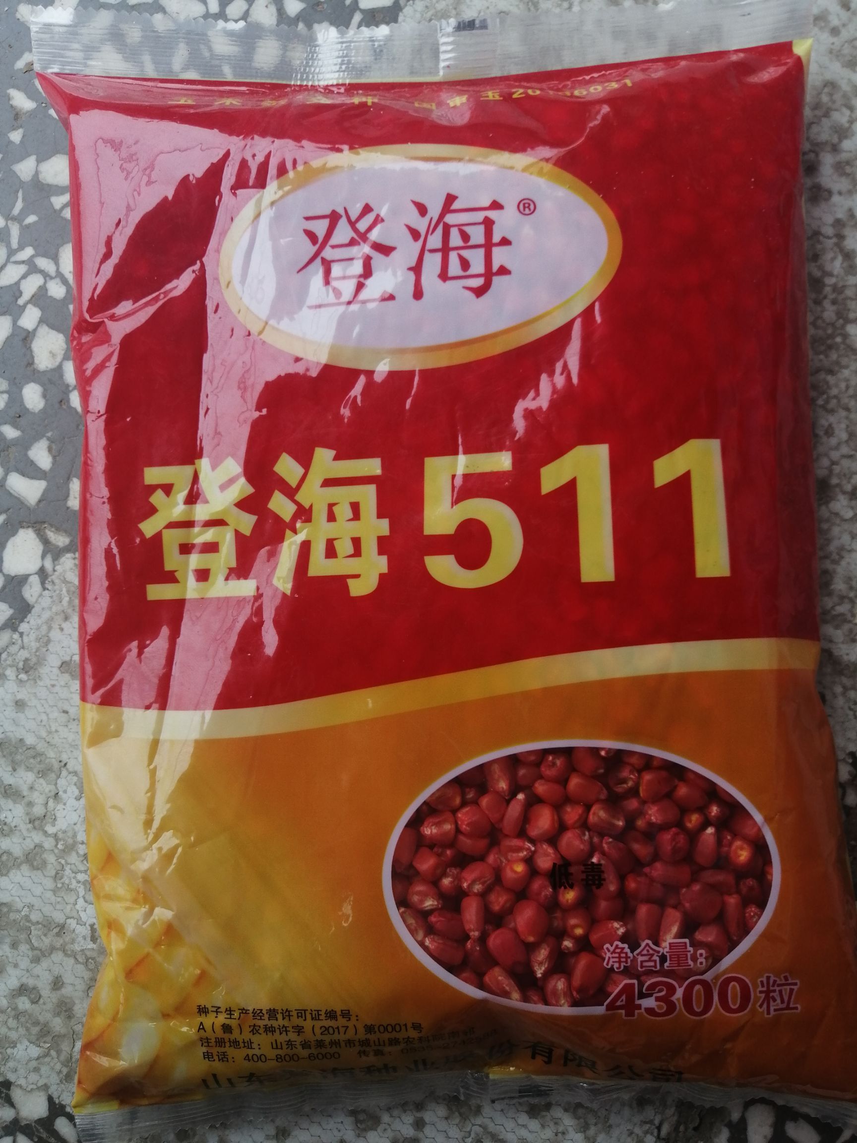 登海511玉米种子 登海511玉米种