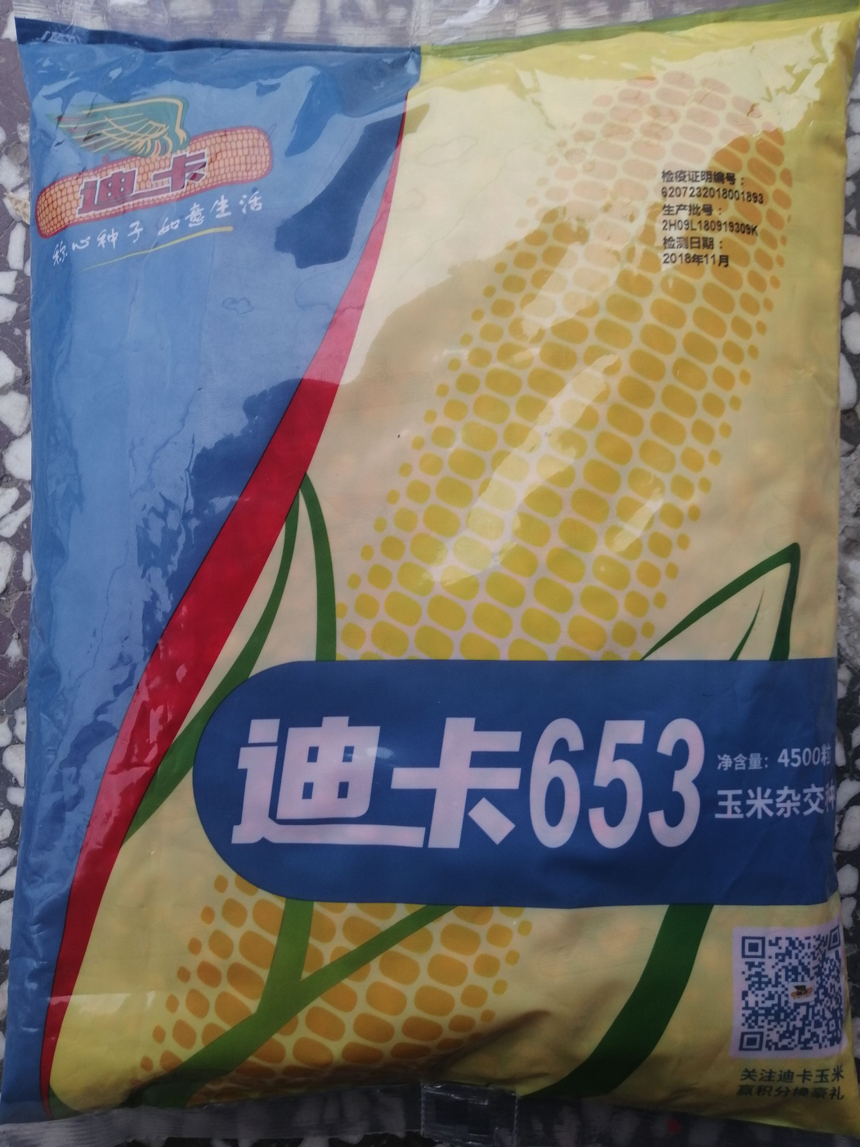 迪卡653玉米粒 迪卡653玉米种