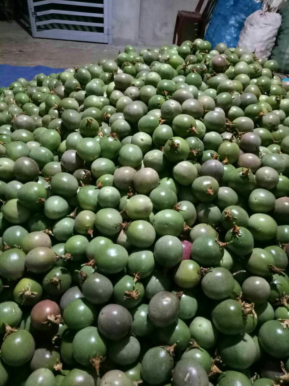 90 - 100克紫果百香果