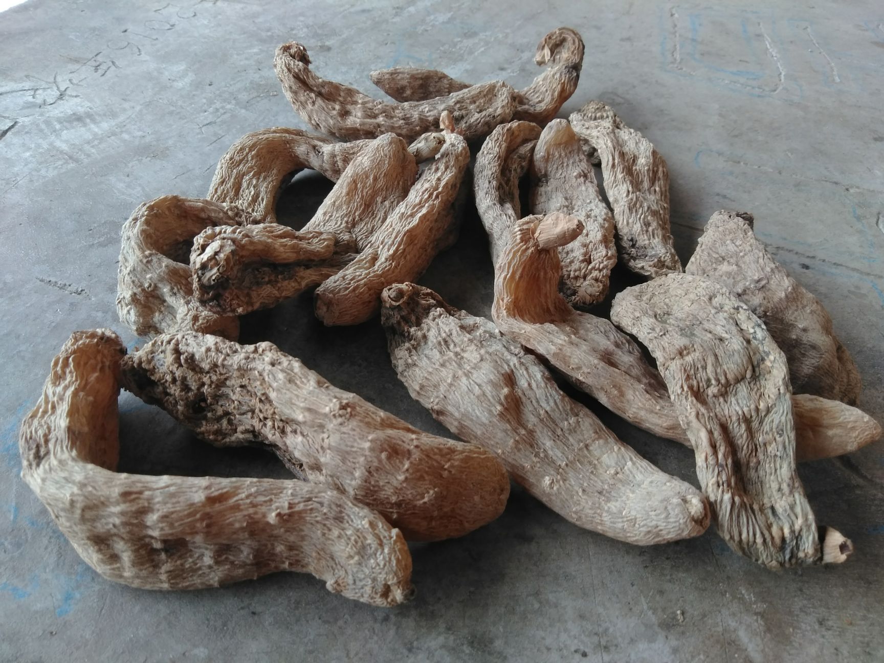 中药材天麻大统林下露天陕西秦岭无硫原色天然晒干新鲜纯一斤包邮