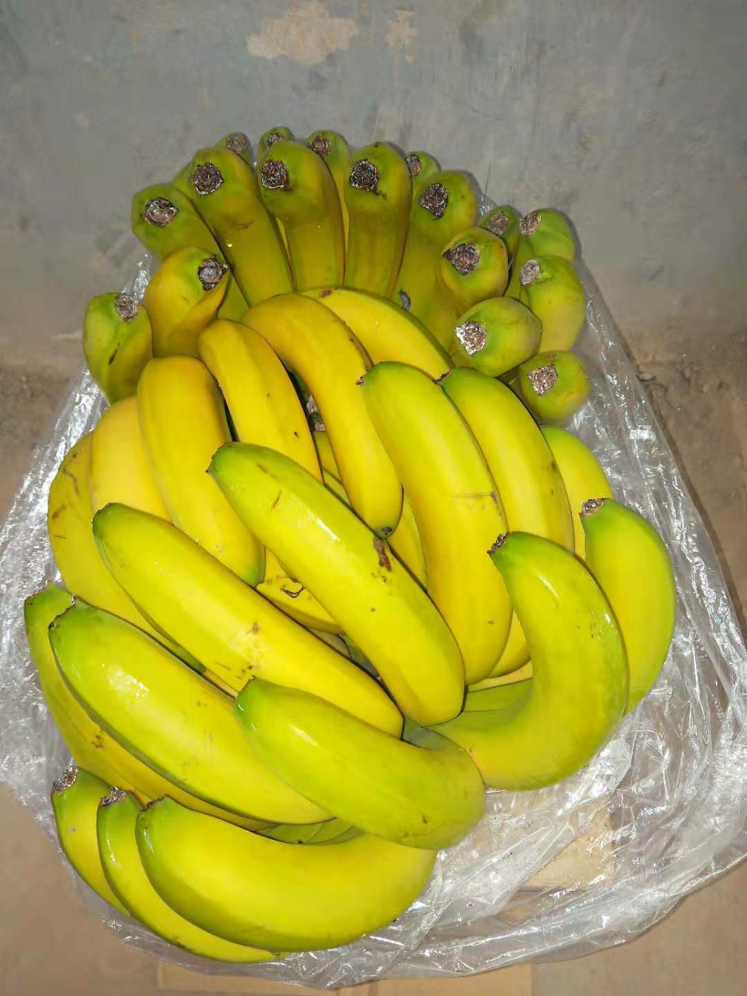 大厅  水果 香蕉  商品详情 常年供应云南,广西生蕉,二黄,大黄香蕉
