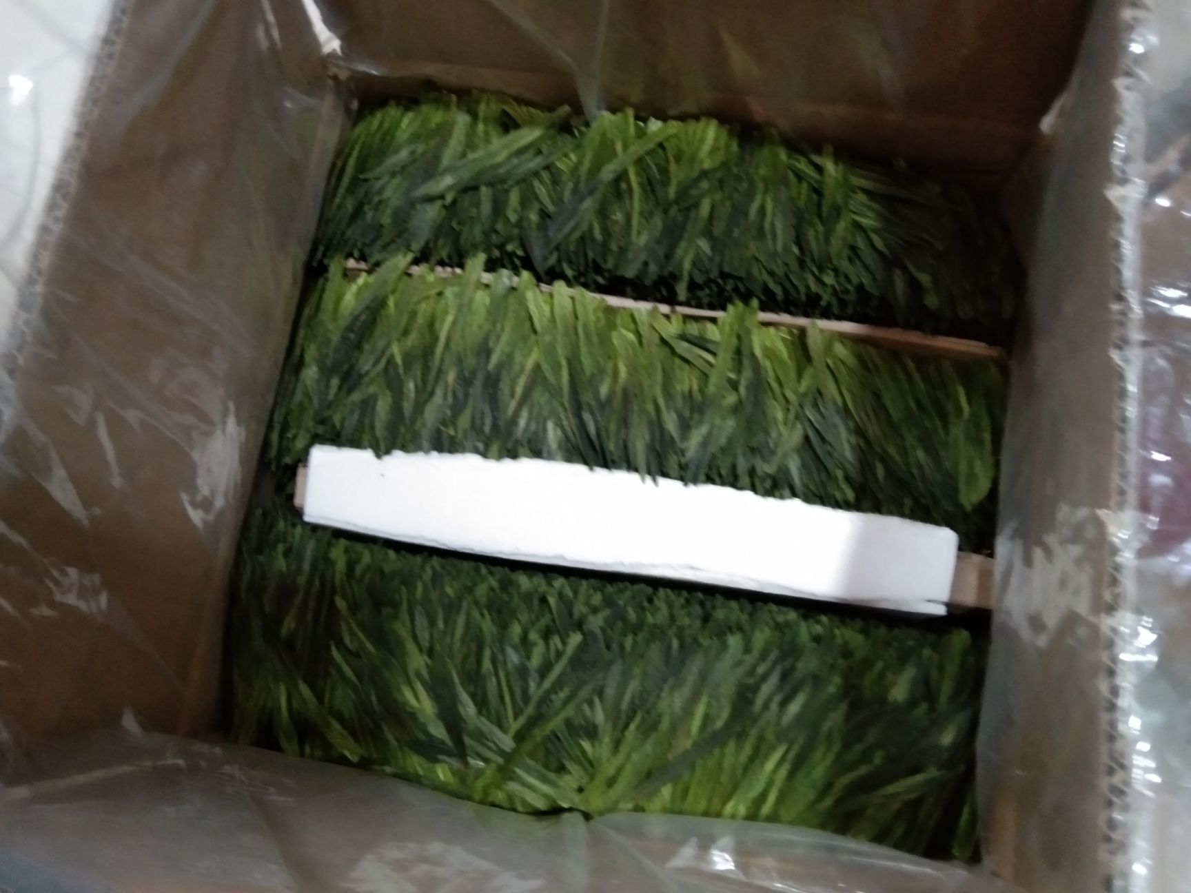 太平猴魁 来自深山老林海拨600米高茶叶,无化肥无污染,自然环境下生长