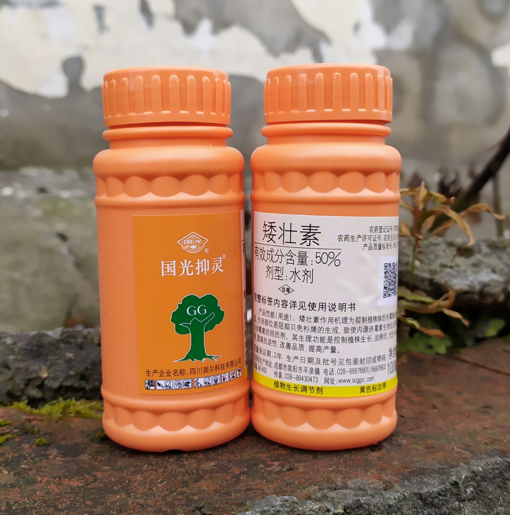 国光抑灵 50%矮壮素 100毫升 防止疯长 防止倒伏 增产