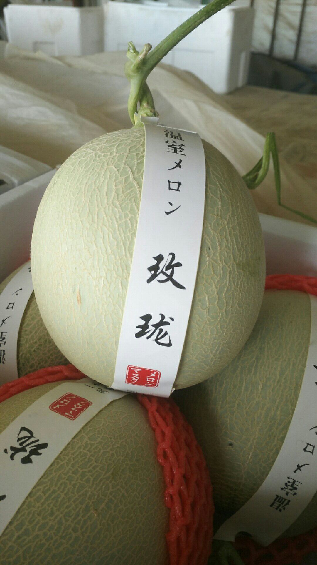 鲁厚甜一号 哈密网纹瓜鲁厚甜