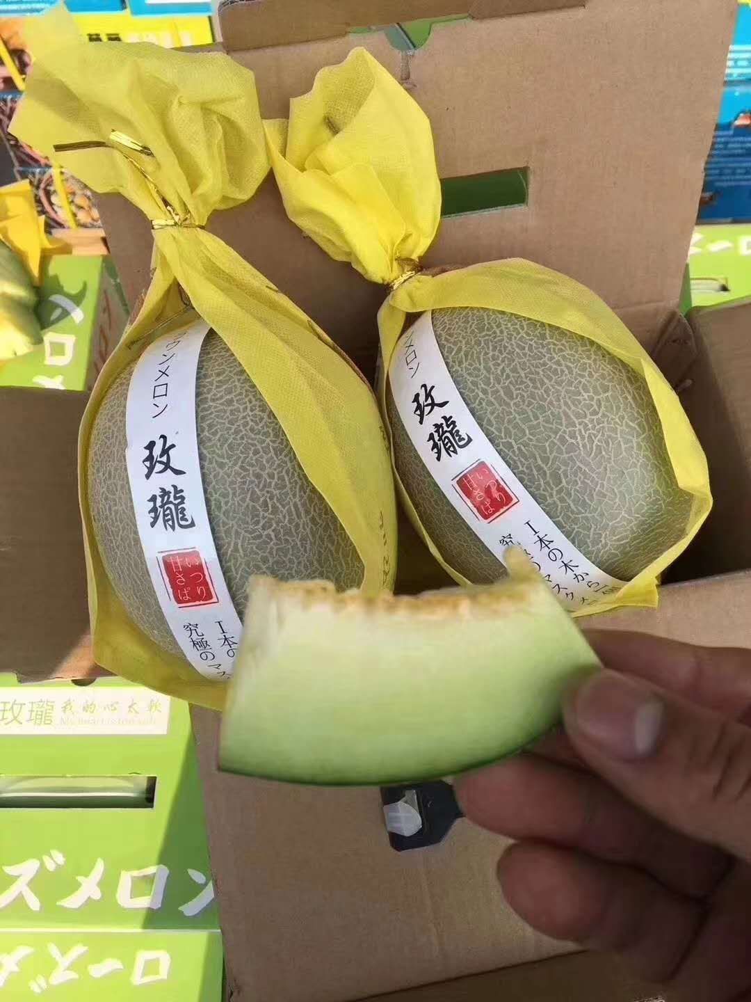 品种名:网纹瓜 品种名:网纹瓜 单颗重:2斤以上 果型:长圆形