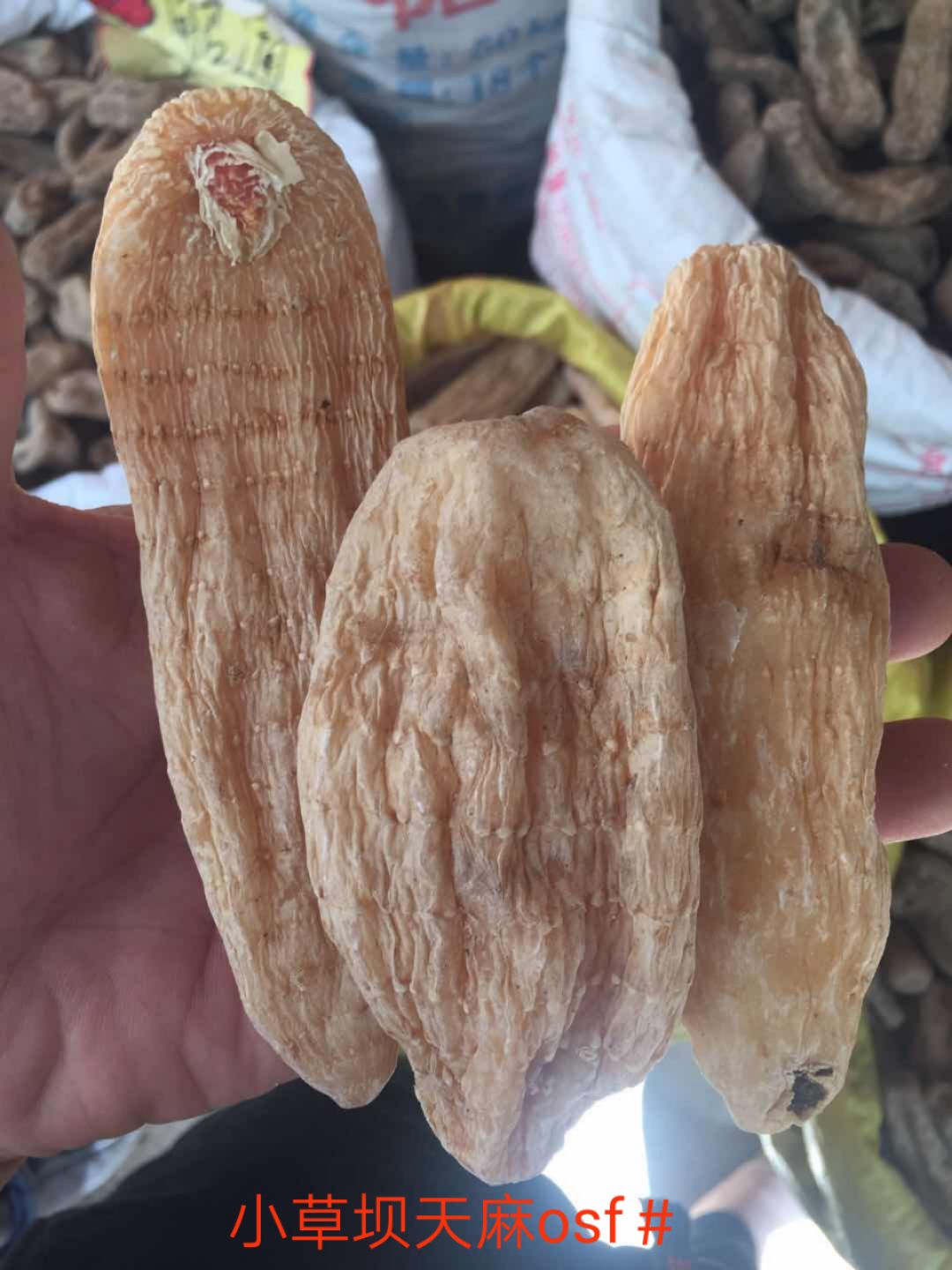 小草坝天麻 红天麻 乌黑天麻 非 生天麻 量大从优