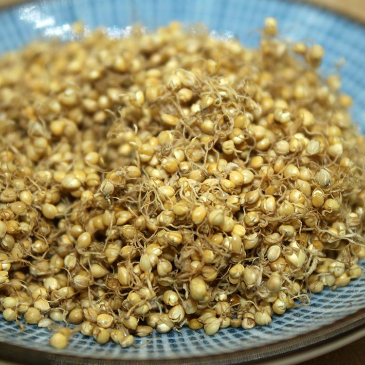 [谷芽批发] 谷芽 炒谷芽 中药材批发价格10元\/公