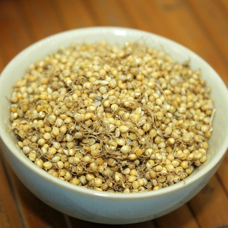 [谷芽批发] 谷芽 炒谷芽 中药材批发价格10元\/公