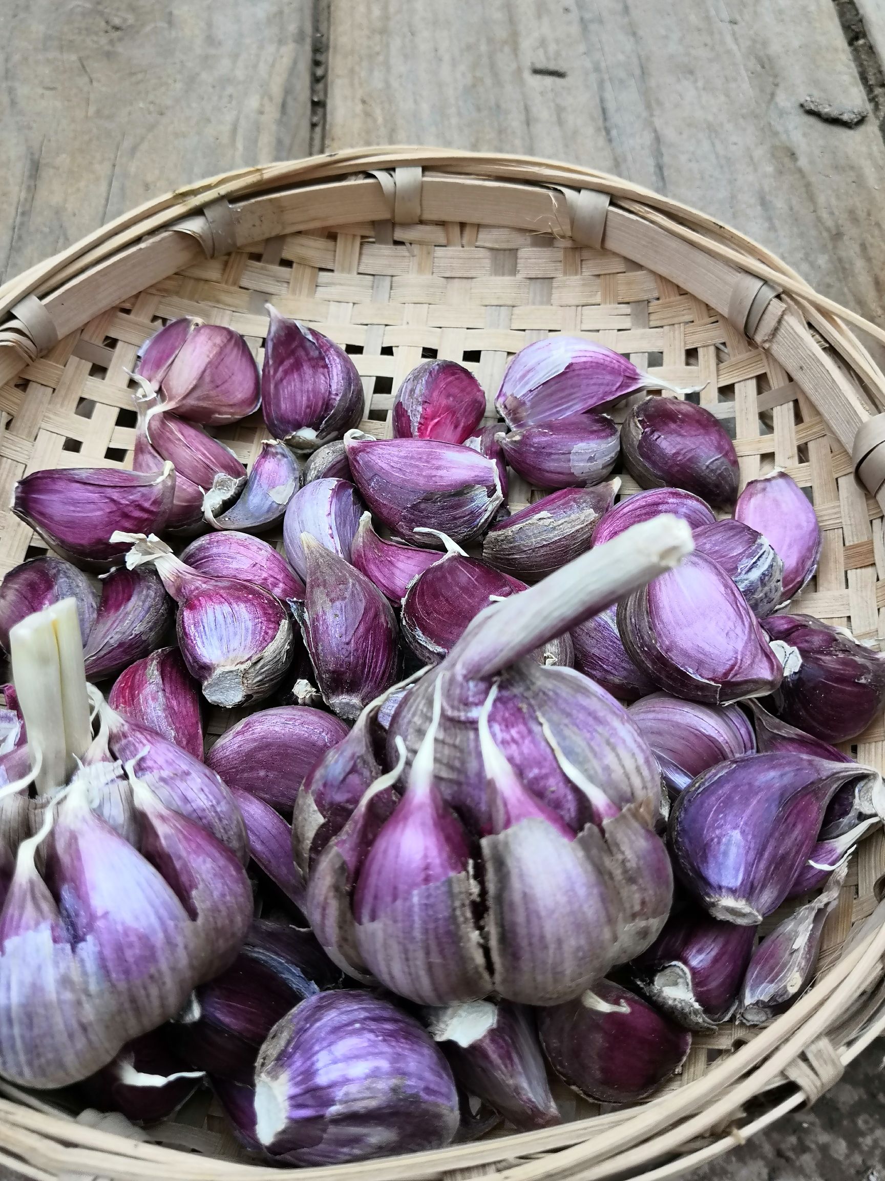 大蒜种子 高原红蒜彭县大蒜干蒜瓣