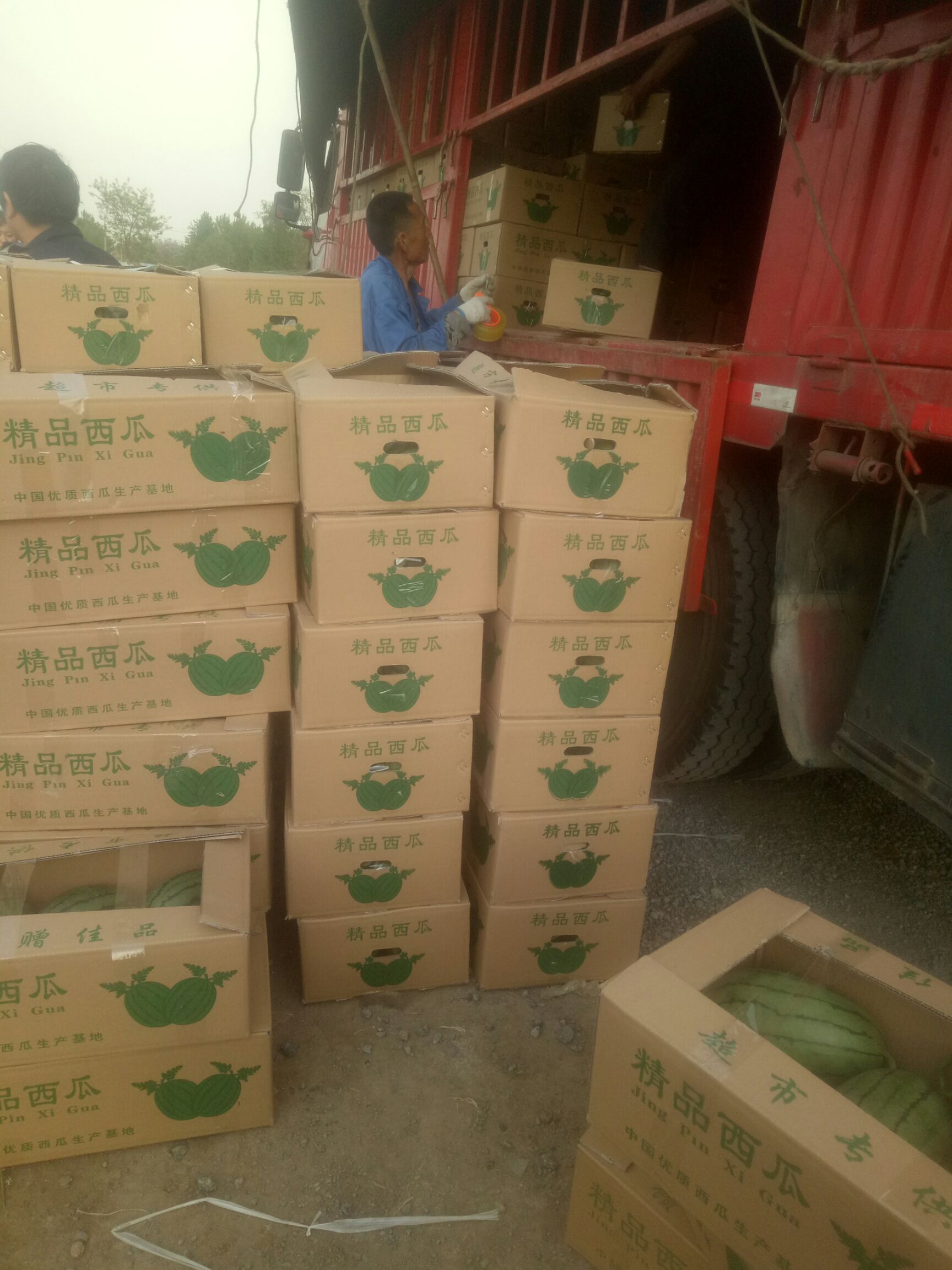 1茬 类型:有籽 货品包装:纸箱 商品详情 《庞各庄〉是中国优质西瓜