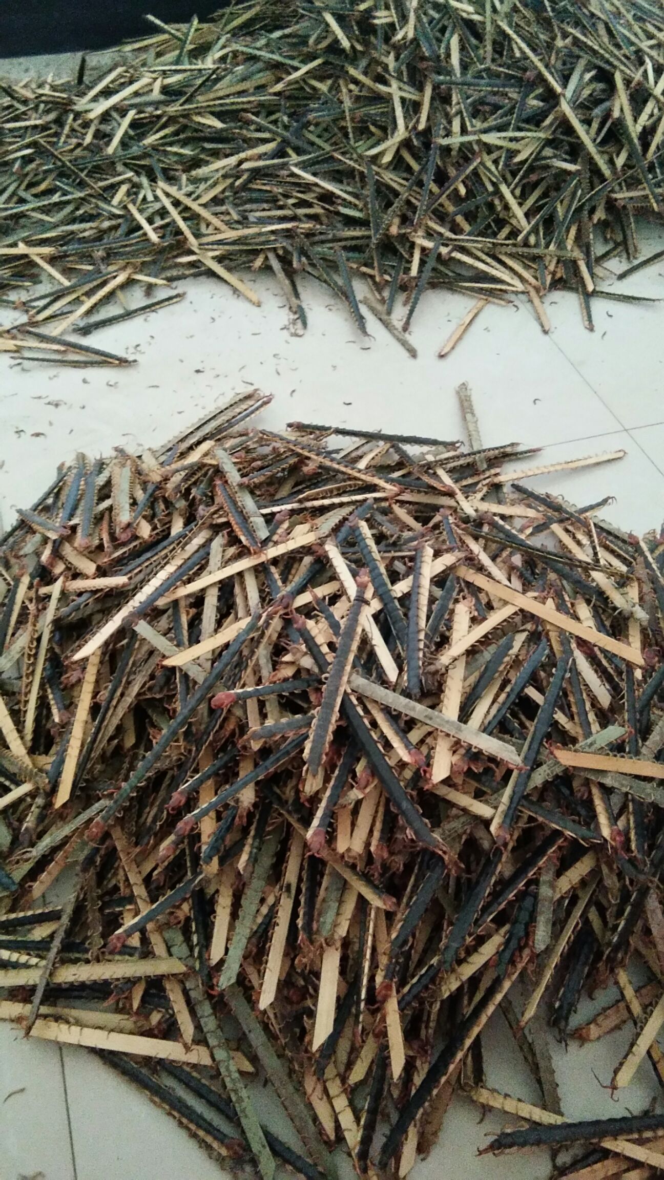 供应大厅  禽畜肉蛋  蜈蚣