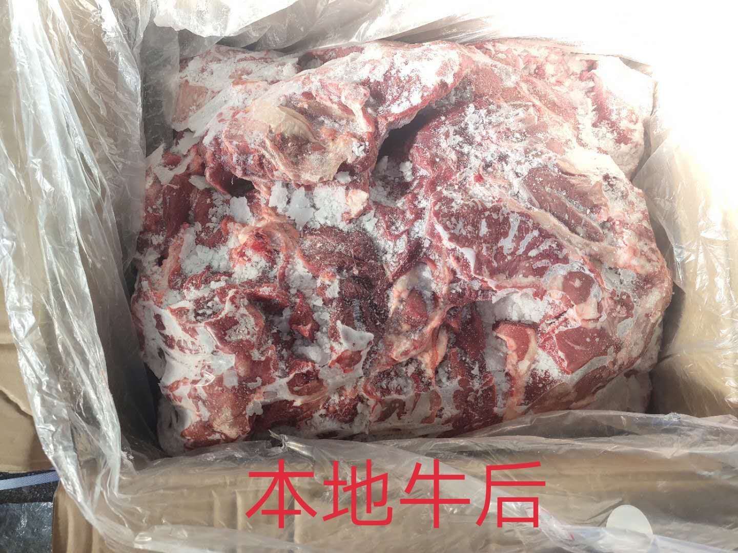 [牛前肉批发]牛前肉 【牛后】锡盟本地的质量保证!量!