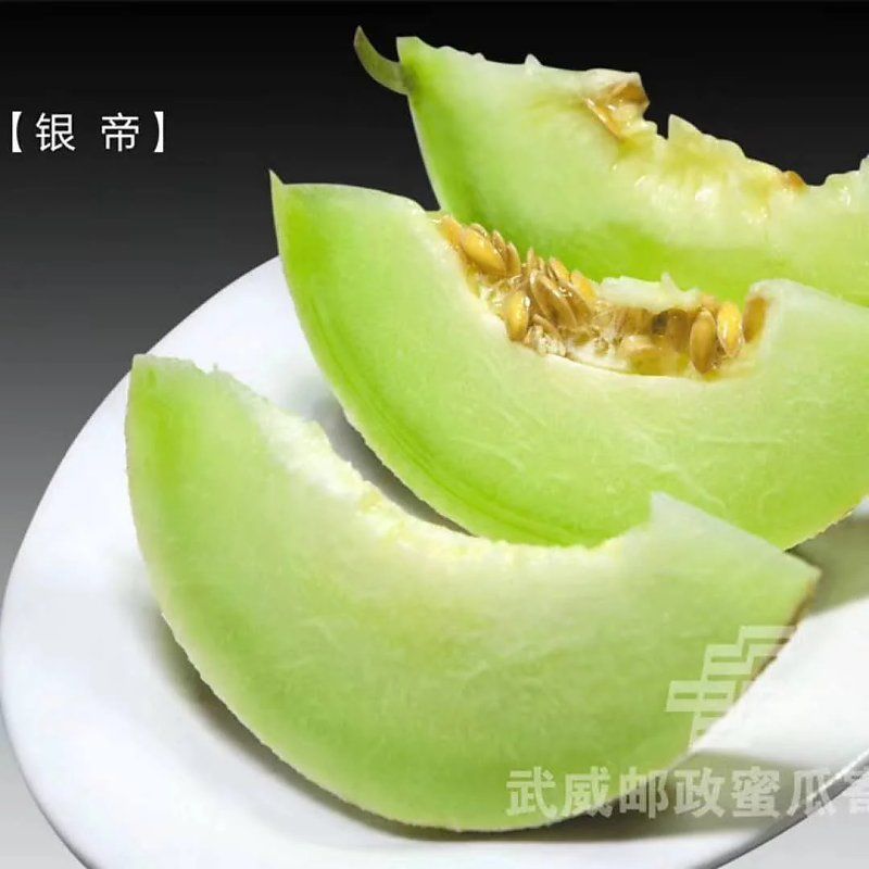 银帝甜瓜 民勤蜜瓜以其肉厚,色纯,香甜闻名,以消暑,止渴,开胃,耐运输