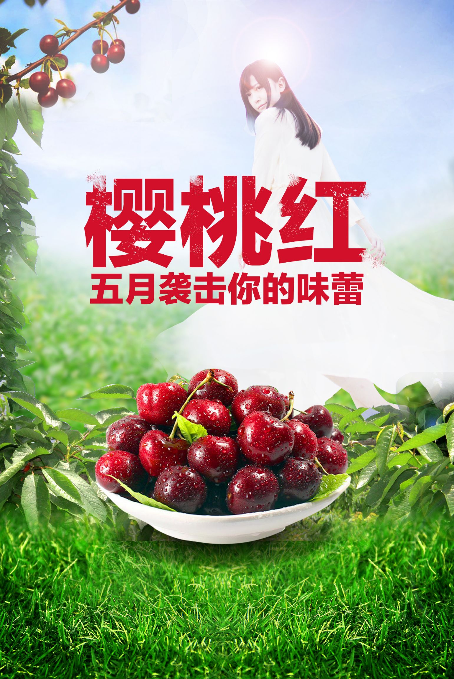 【顺丰包邮】山东大樱桃