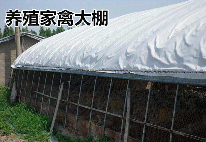黑白膜养殖大棚膜,食用菌大棚膜水产养殖黑白膜,蘑菇大棚膜.