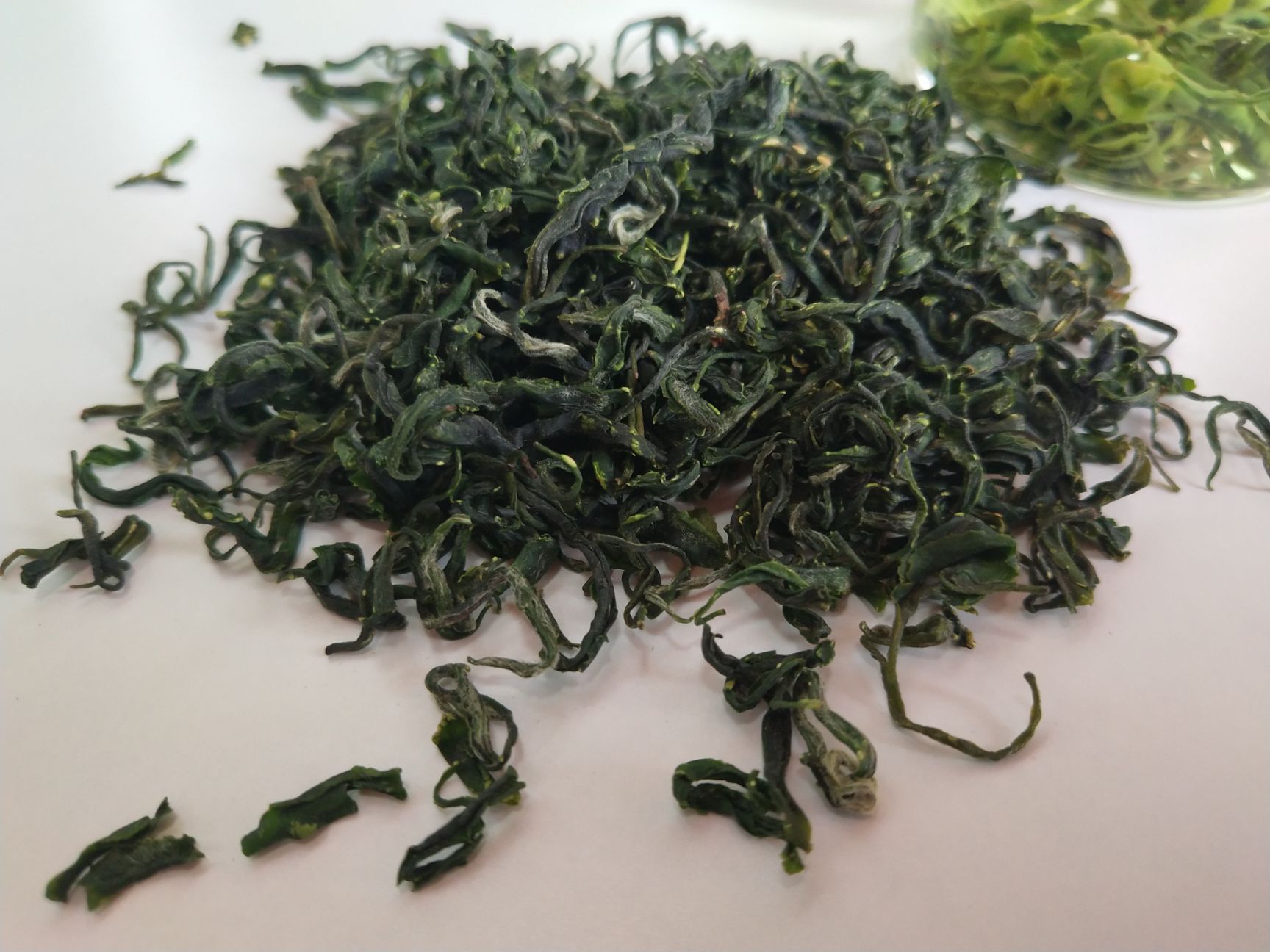 贵州高山原生态绿茶 特级绿茶毛峰 绿茶