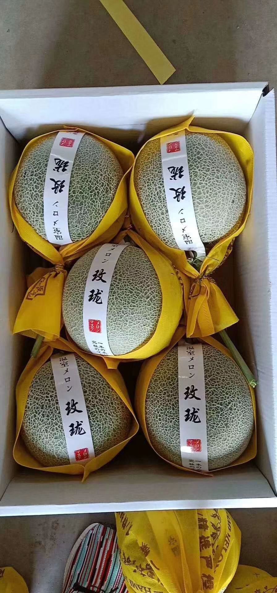 东方蜜1号