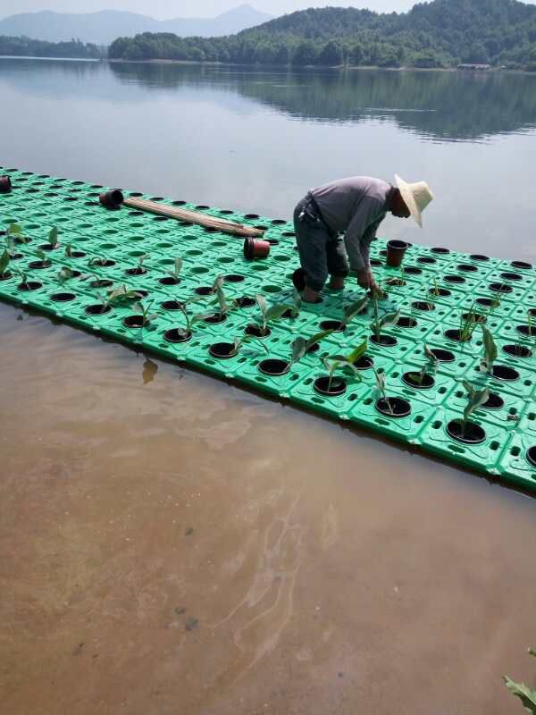 生态浮床 水上浮床批发价格/广西浮床厂家直销报价/水浮萍价格