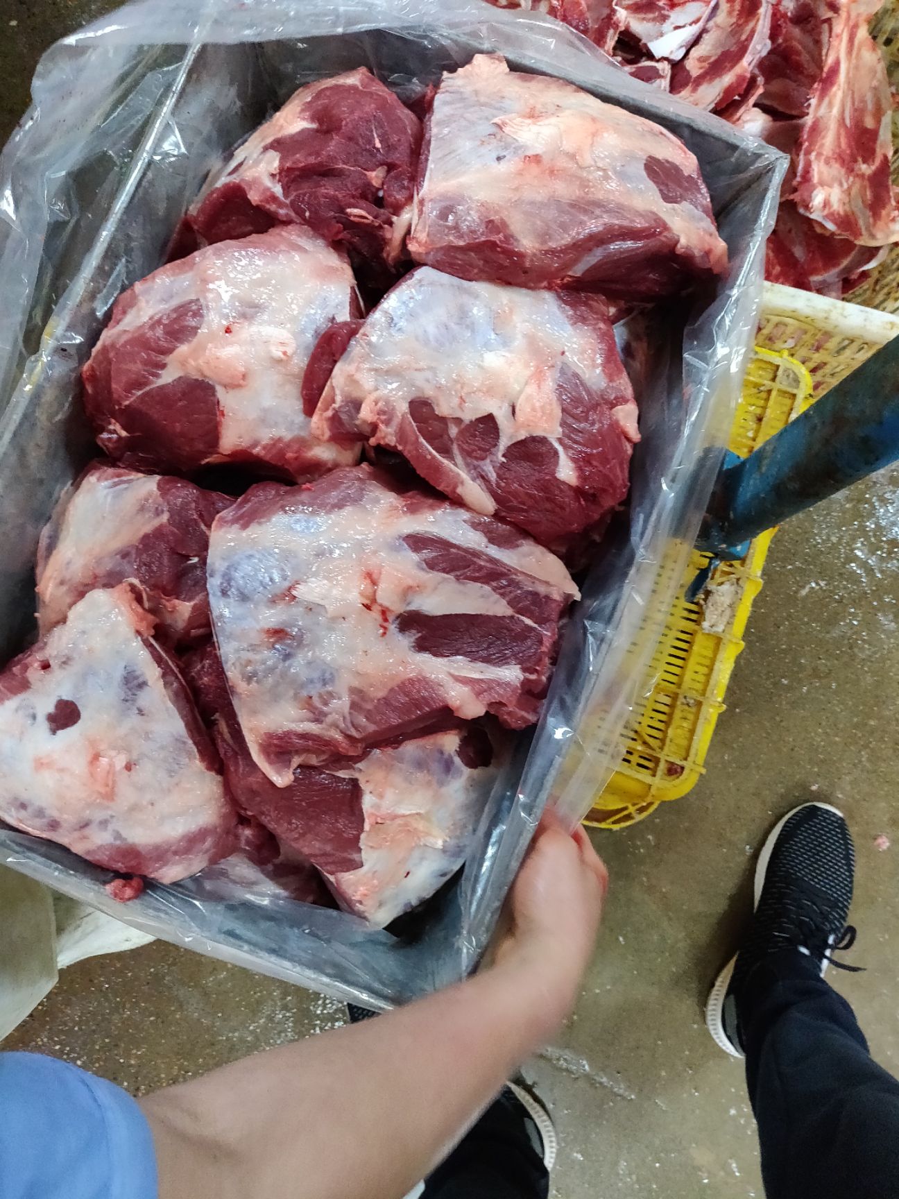 猪扇骨 母猪肉板骨 肉扇骨