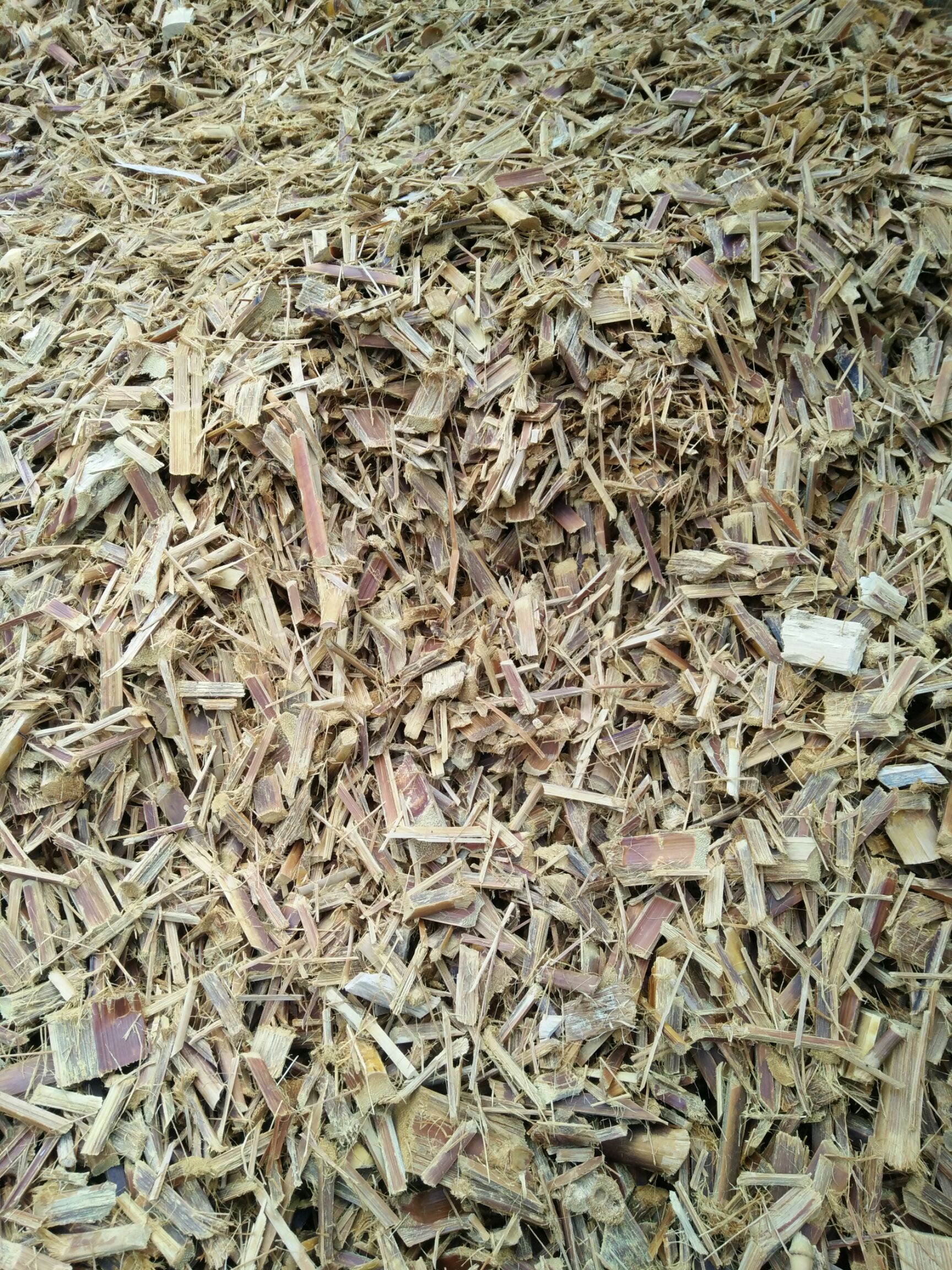 竹片纸浆原料500一吨
