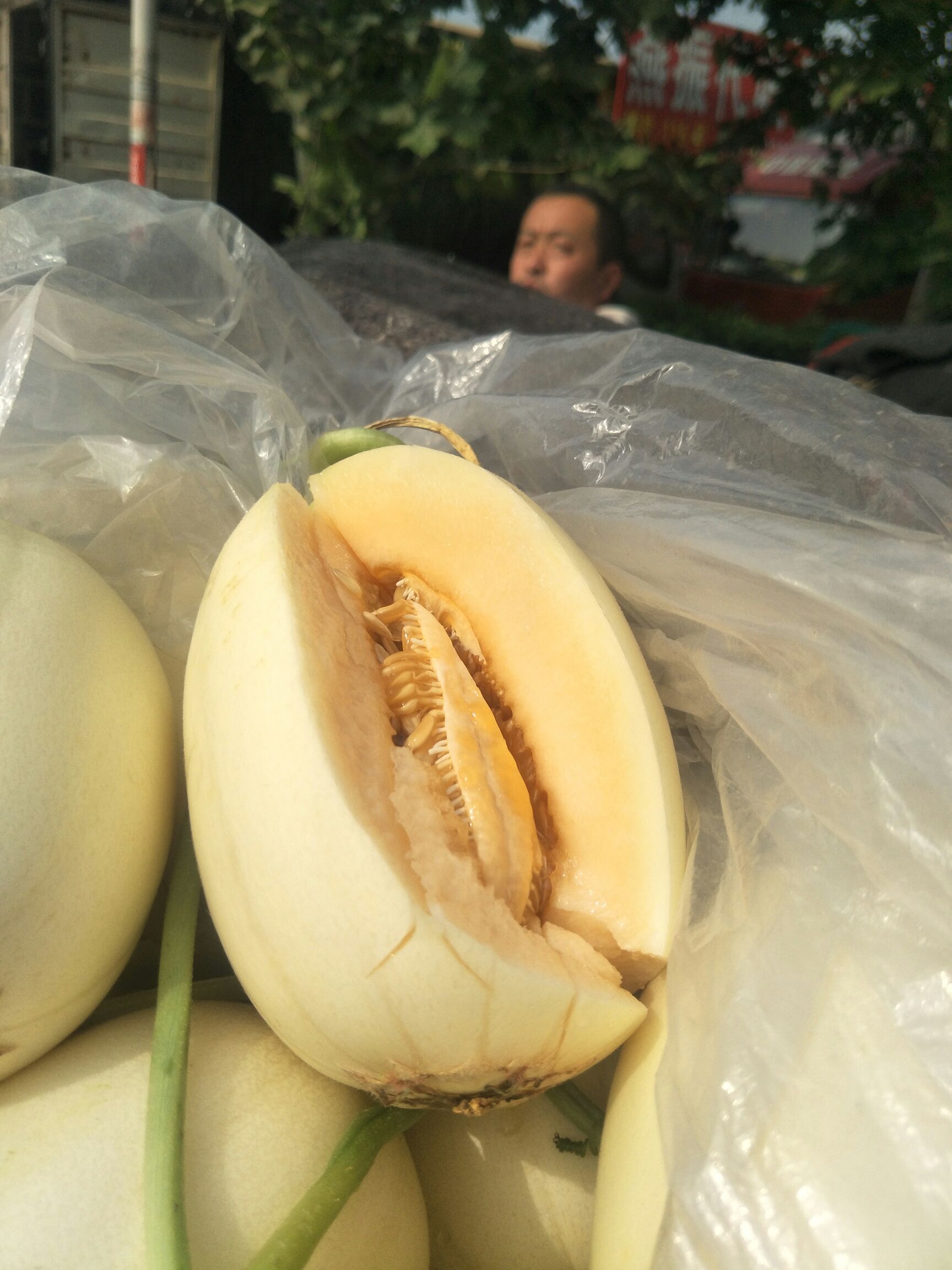 东方蜜1号 东方蜜