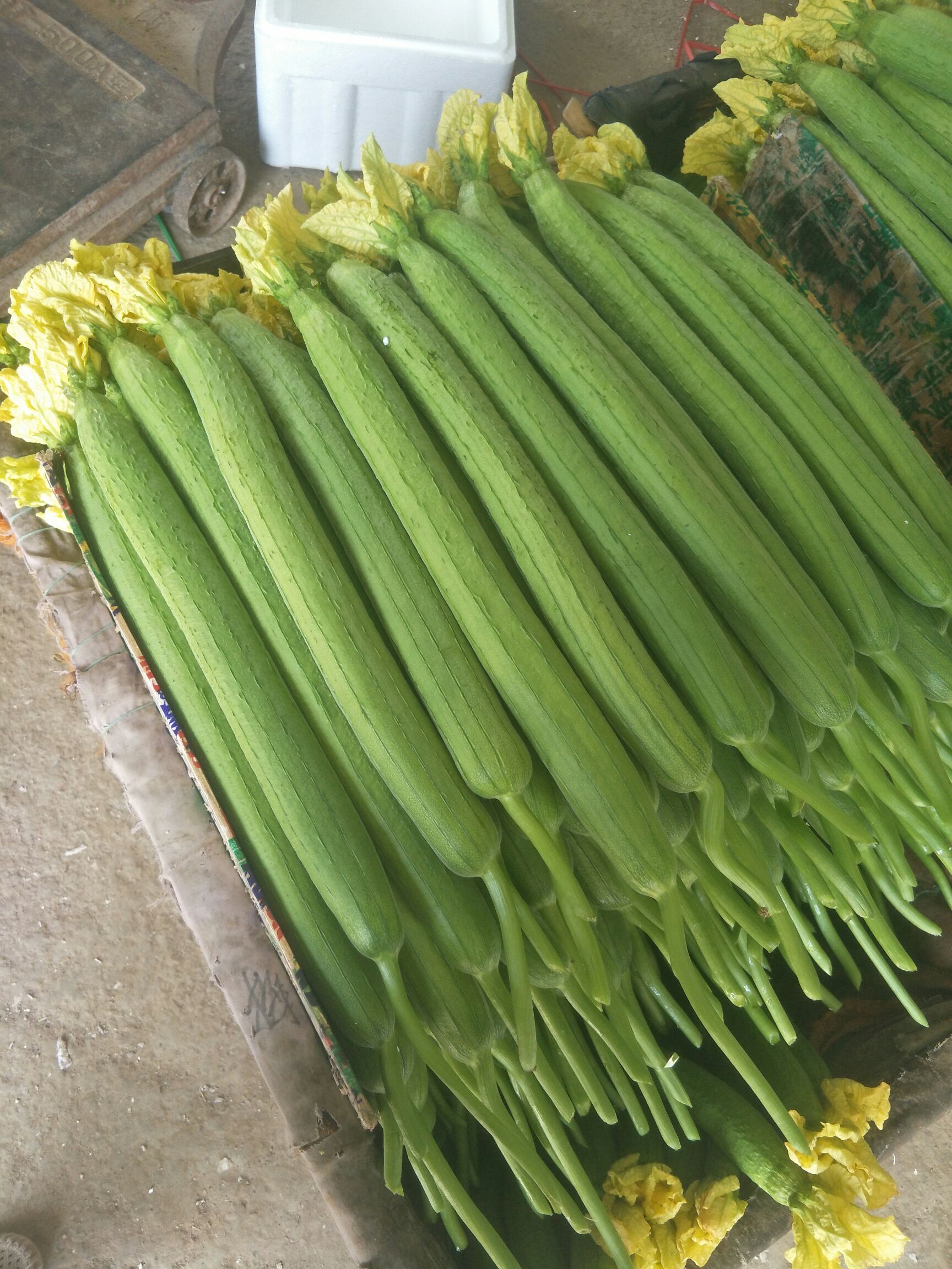 大红硬果 精品蔬菜