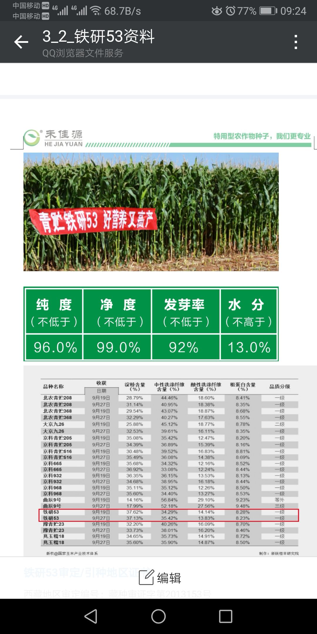 早熟玉米种子 【全国热销最热门】铁研53中早熟品种,白轴棒大耐旱,抗