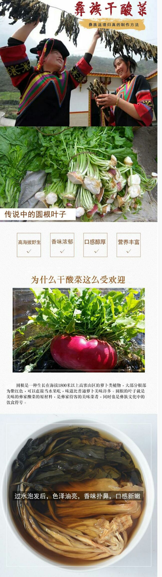 干酸菜 凉山传统彝族圆根酸菜