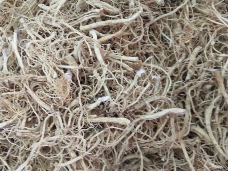 [长白山人参批发] 干人参须价格95元\/斤 1斤起批