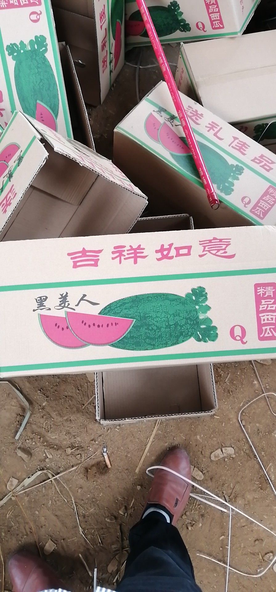 西瓜纸箱