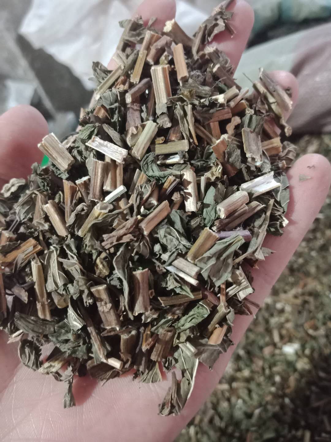 中药材薄荷 薄荷