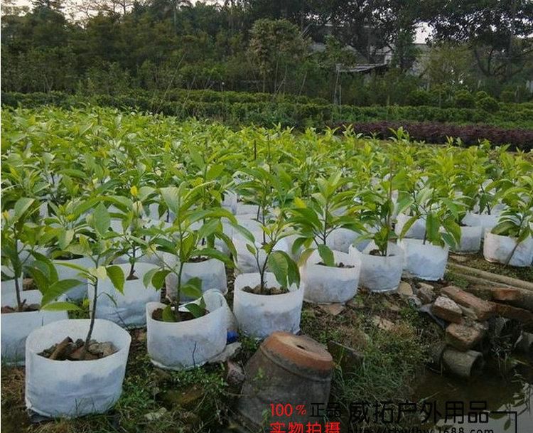 种植袋/植树袋/美植袋 40*35双耳无纺布美植袋植树袋营养袋育苗袋育苗