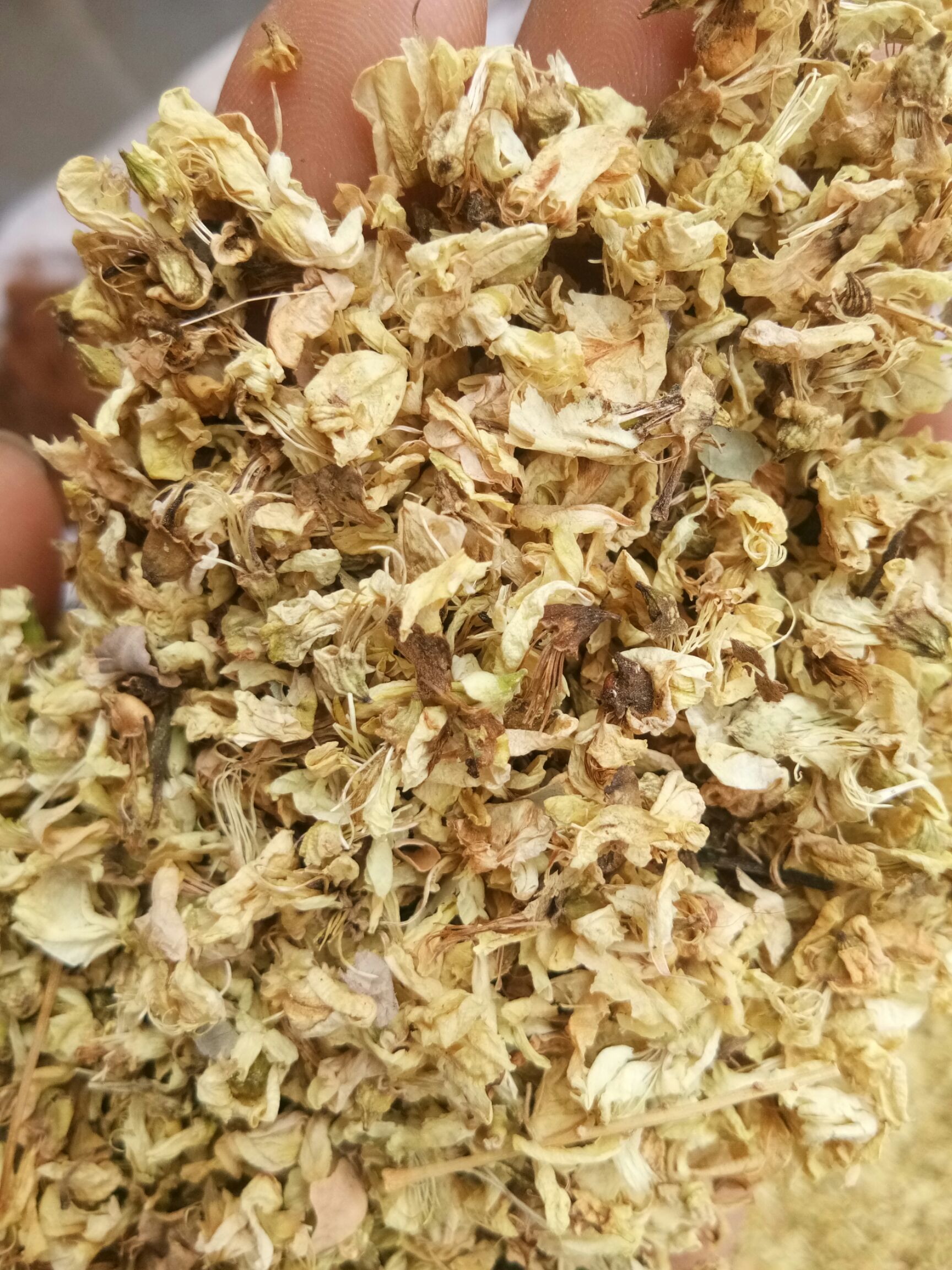 槐花无硫干品人工挑选杂质少止血凉血一公斤起包邮