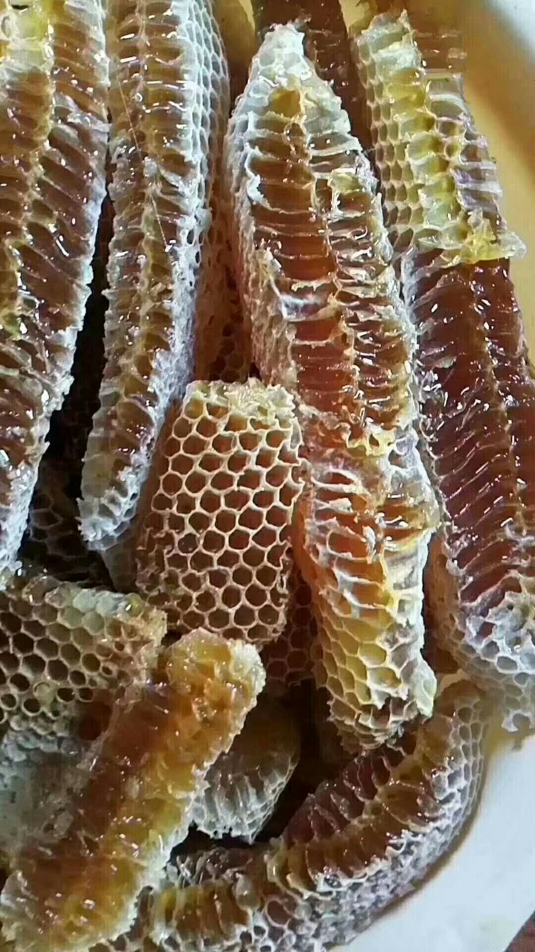 [野生蜂蜜批发]野生蜂蜜 2019年西双版纳雨林春
