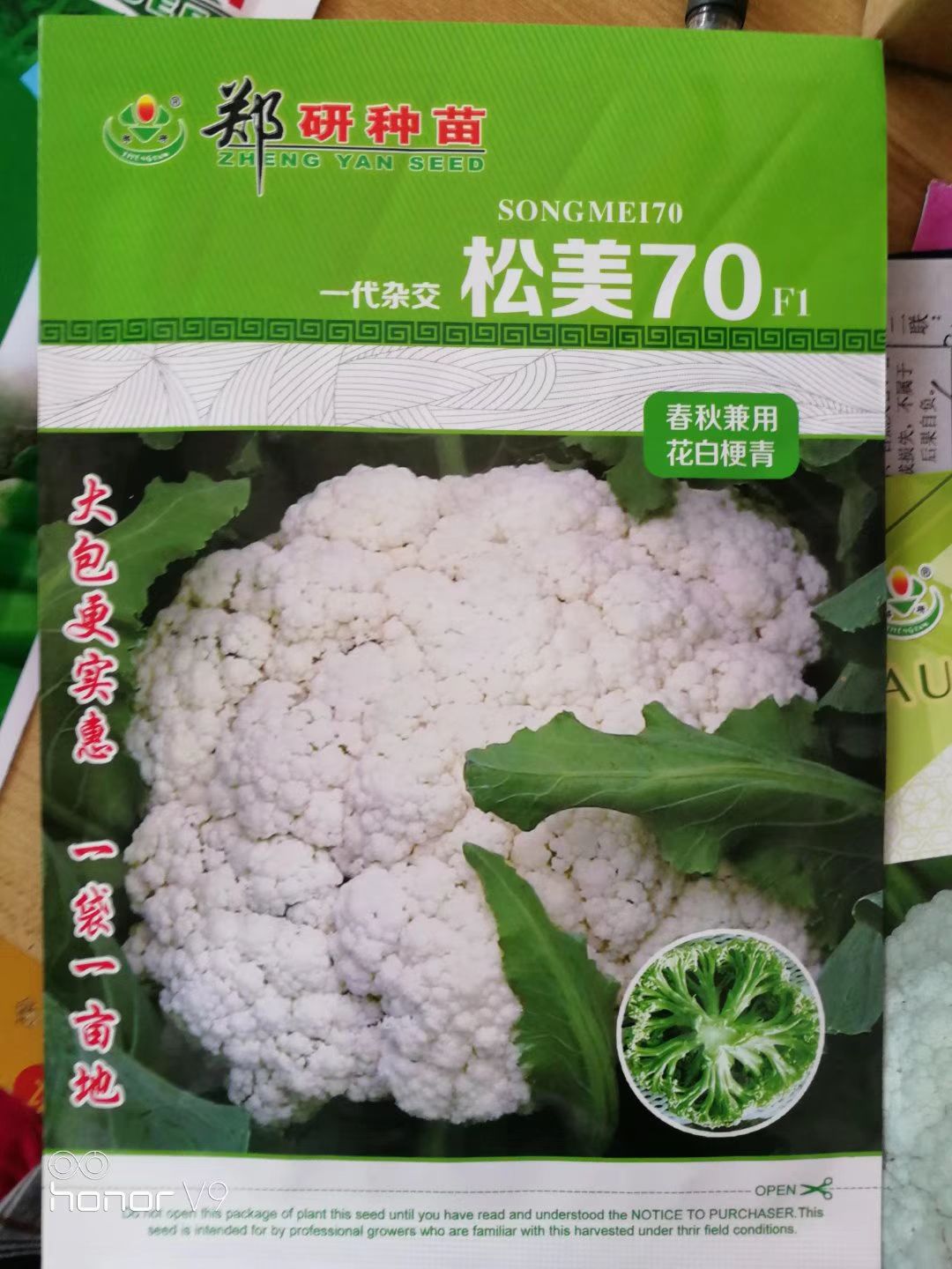 松花菜种子 花球圆正雪白,商品性好,产量高