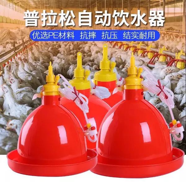 饮水设备 养殖养鸡设备用品普拉松自动饮水器鸡鸭鹅用喂水器鸡场喂鸡