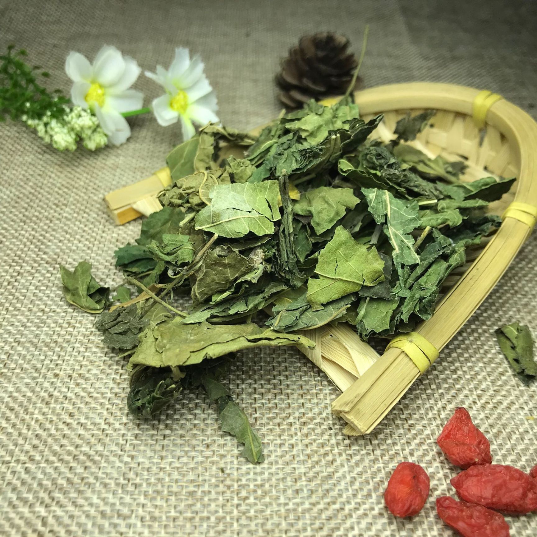 干桑叶