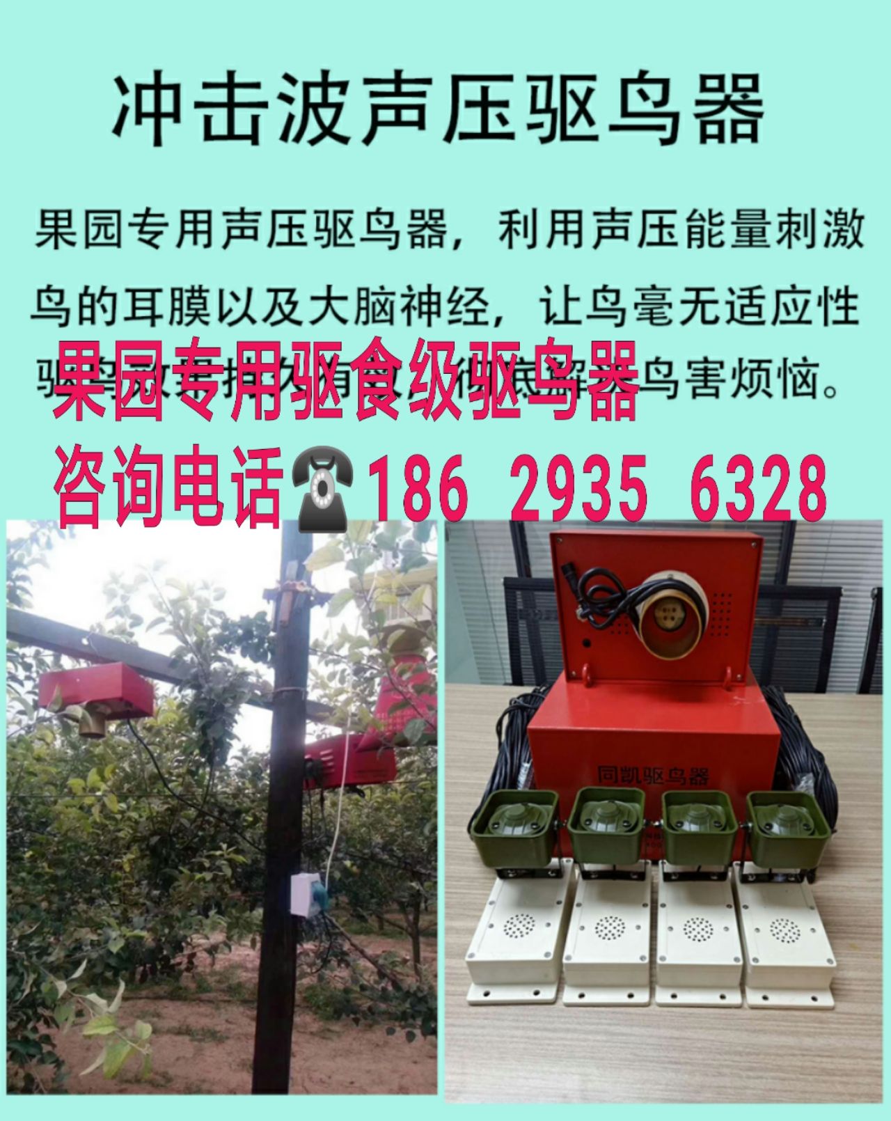 樱桃园专用驱食级驱鸟器 冲击波驱鸟器厂家