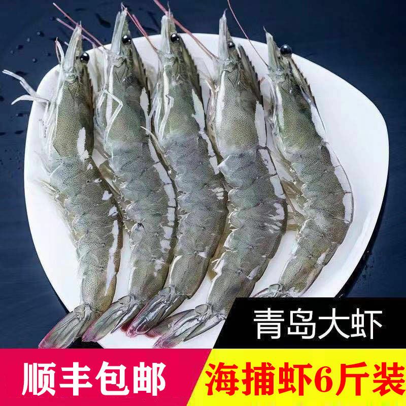 山东海虾批发采购_山东海虾供应_山东海虾价