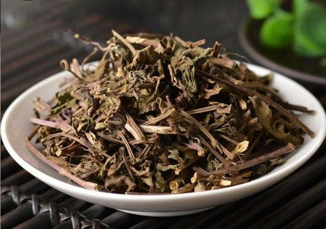 猫须草 批发零售各种中药材 花茶 保健品