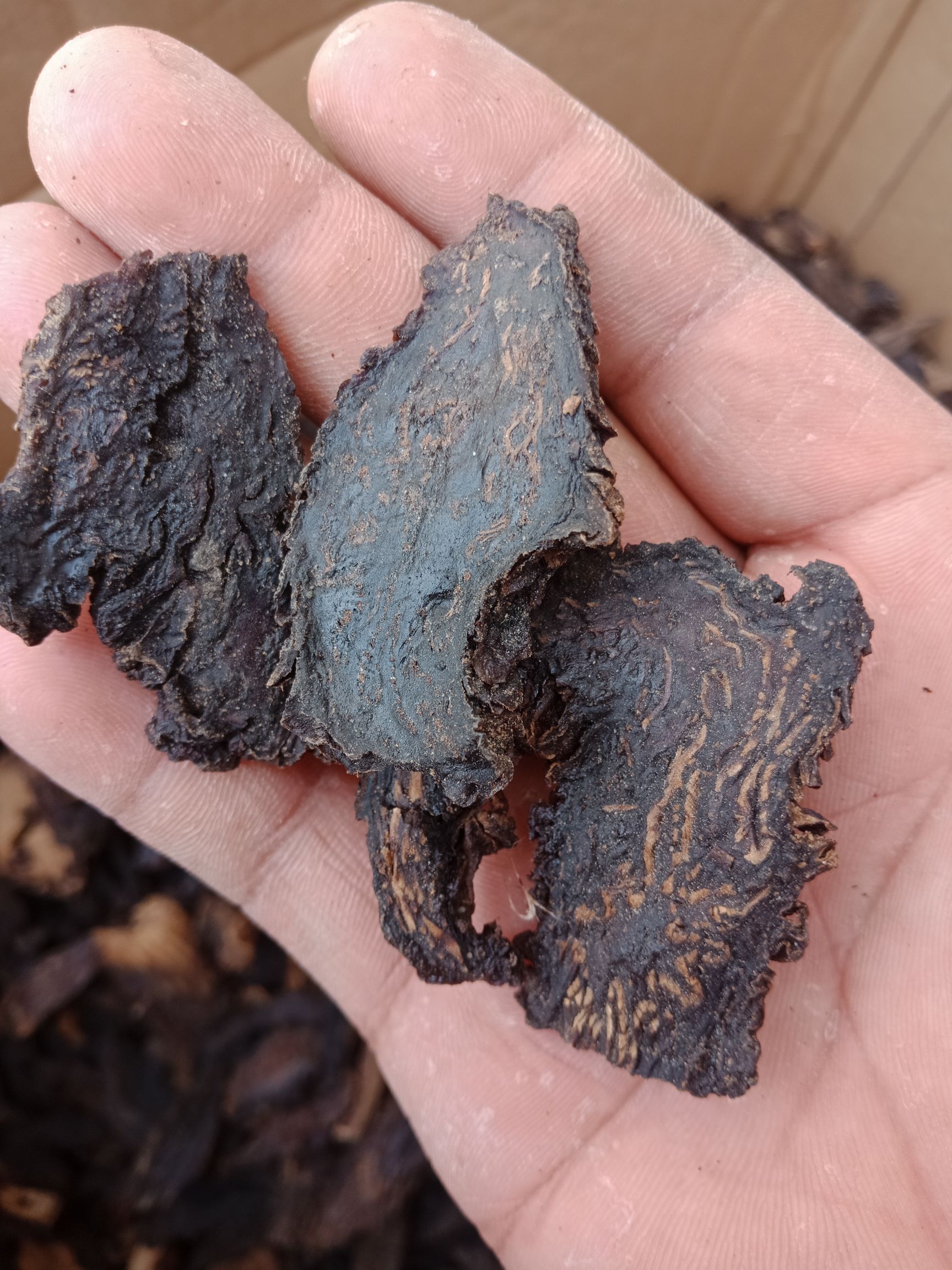 肉苁蓉 内蒙古油性切片干货阿拉善正品男性用泡酒料泡茶滋补煲汤