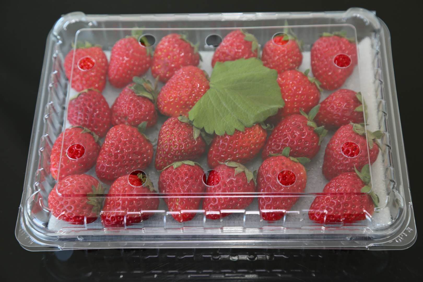 草莓包装盒 草莓盒zy-cm500草莓冬枣水果盒